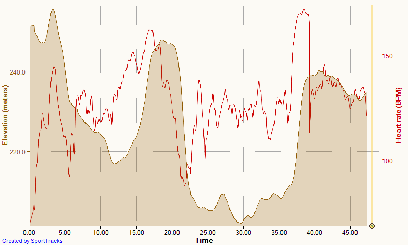 Ochtendrit 10-13-2015, Elevation