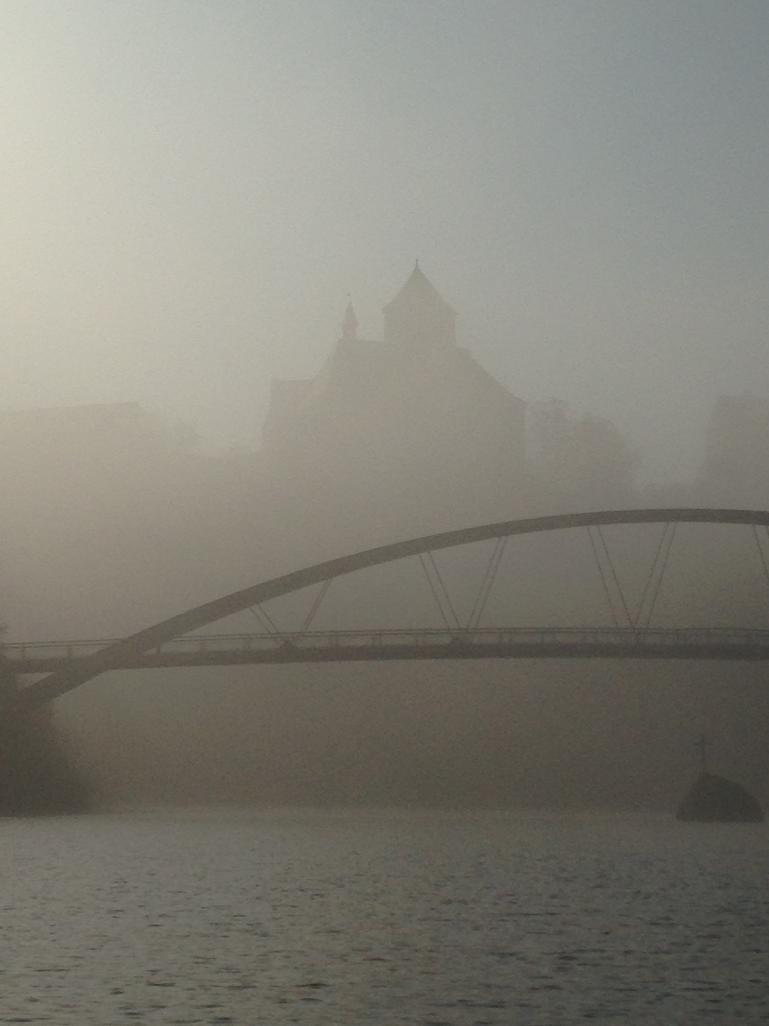 Veveří castle in the mist