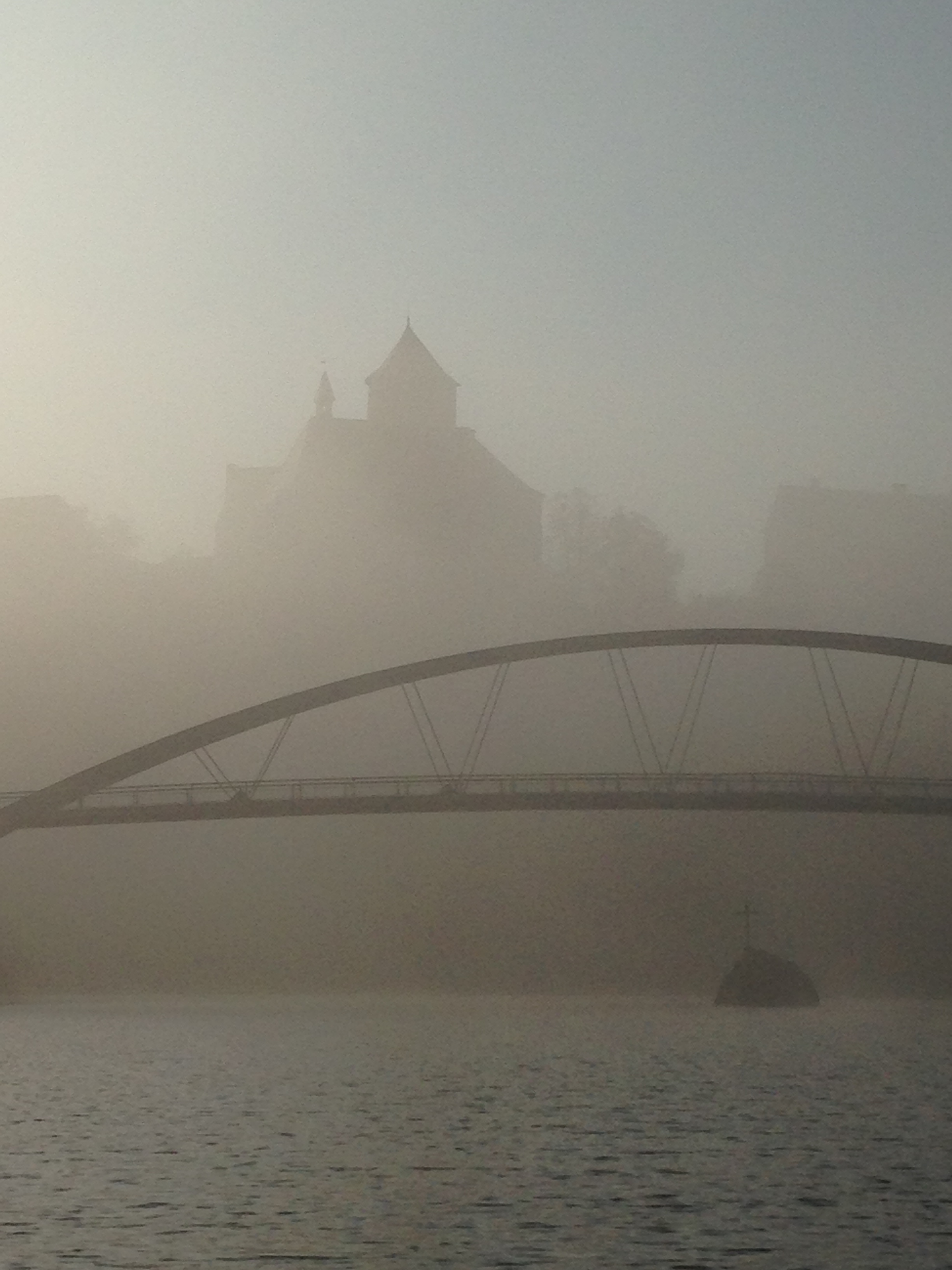 Veveří castle in the mist