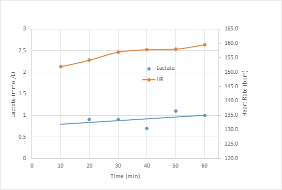 laktaatsaai2.jpg