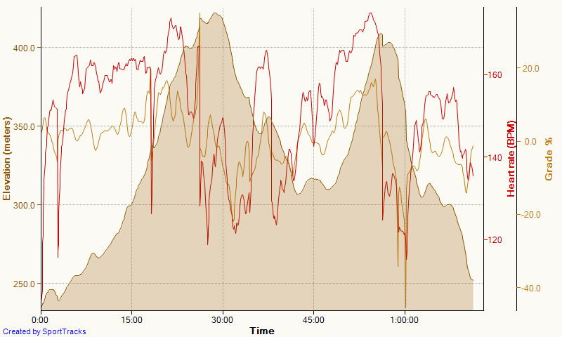 Hura do sauny 1-17-2016, Elevation.png