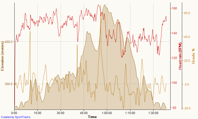 Running 1-10-2016, Elevation.png