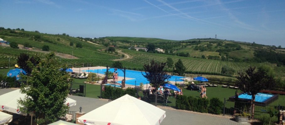 Quite_a_view_Terrace_pool_and_vineyards_500_375.jpg